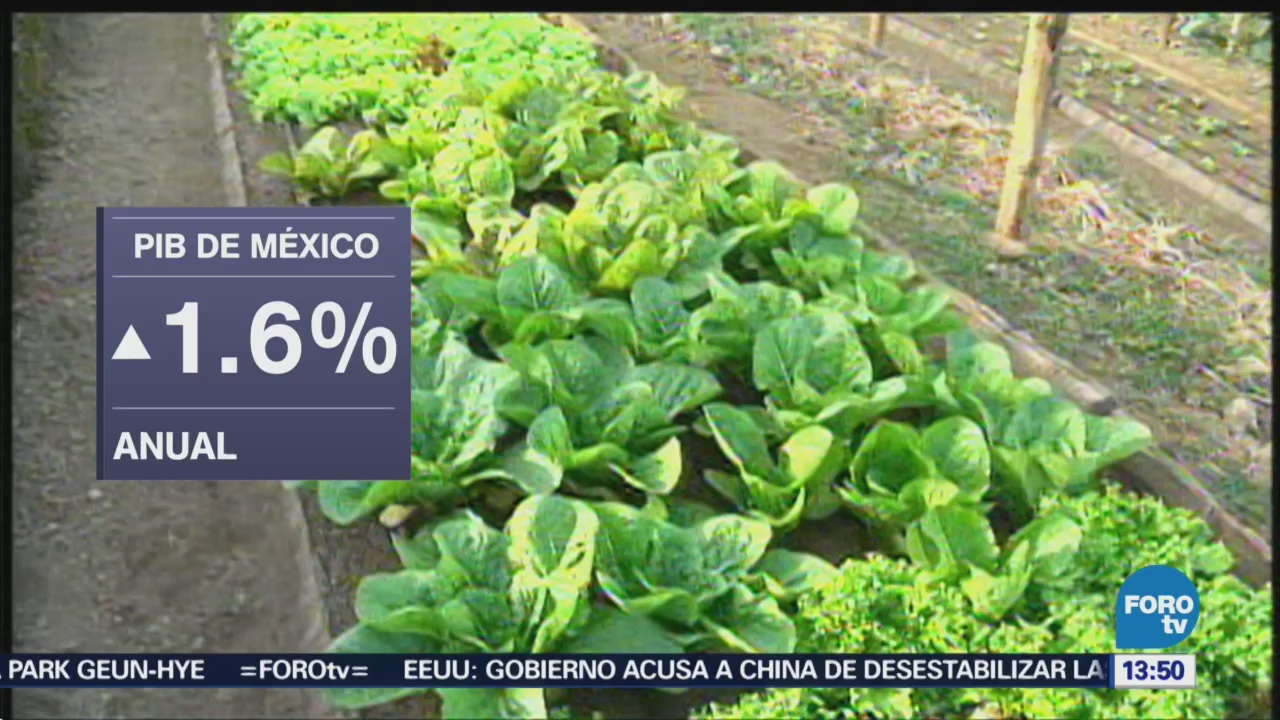Pib México Disminuye 0.2% Segundo Trimestre Inegi