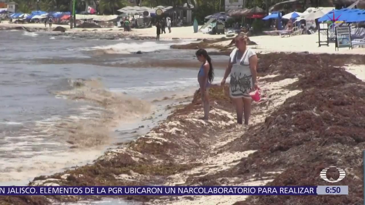 Quintana Roo instala mesas para analizar solución al sargazo