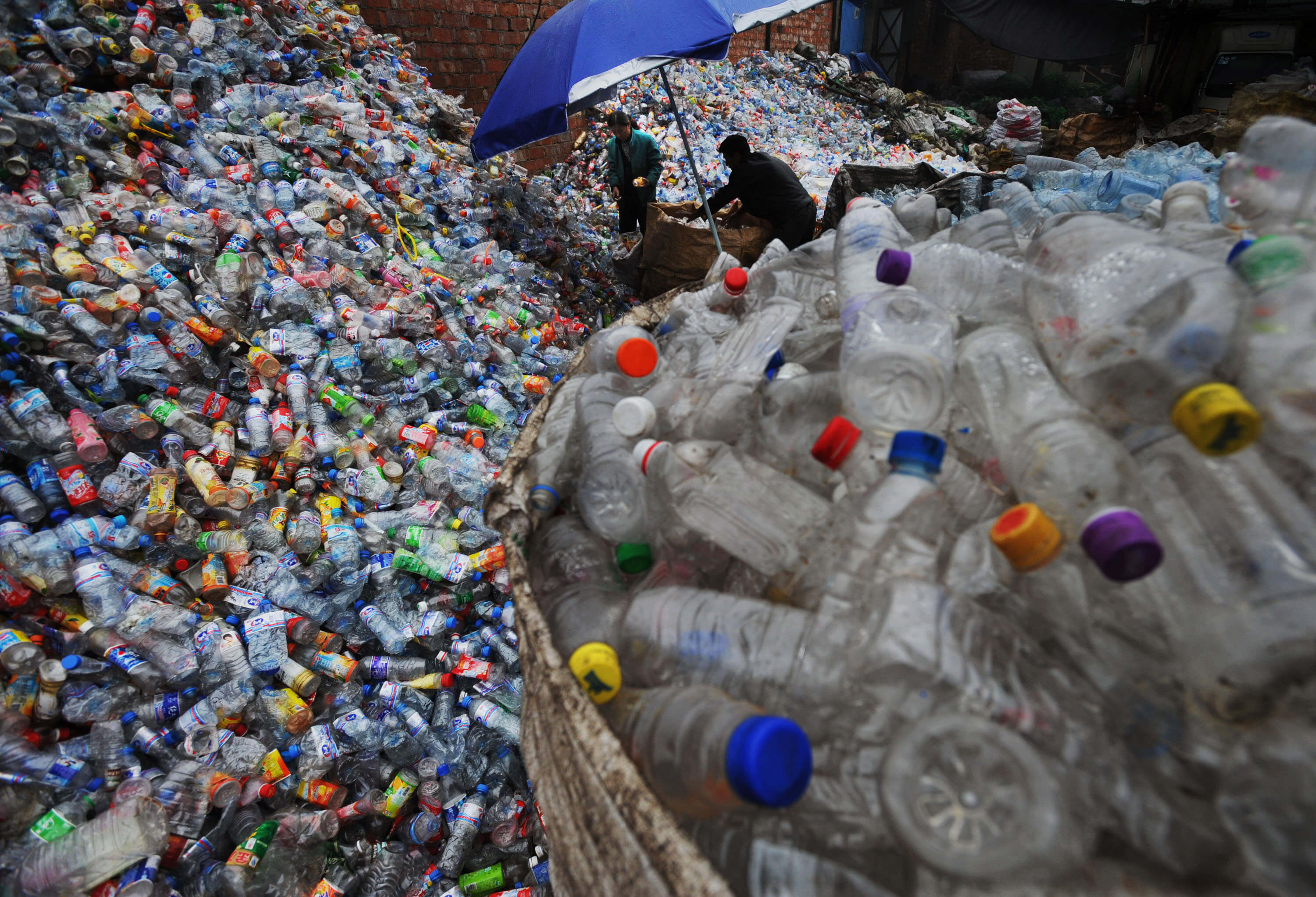 Revelan que plásticos degradables emiten gases de efecto invernadero