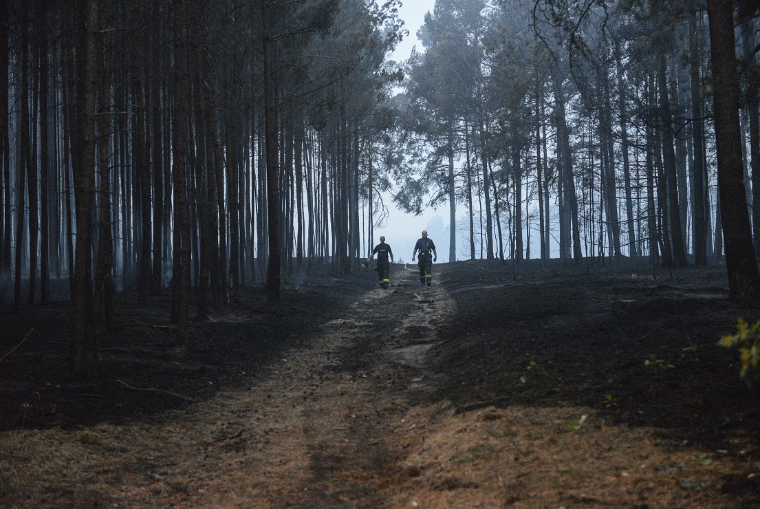 Incendio forestal detona municiones de la Segunda Guerra Mundial en Alemania