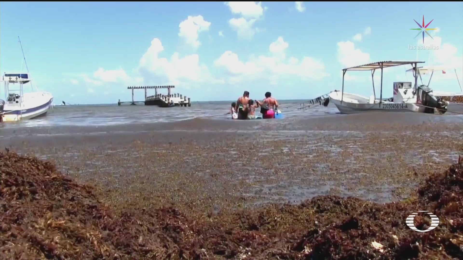 Toneladas de sargazo afectan playas del Caribe