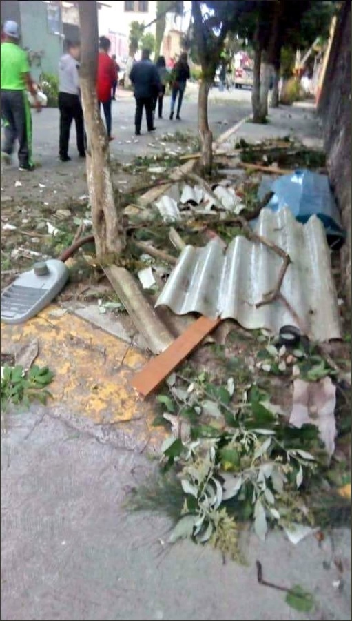 Tornado en San Martín de las Pirámides provoca caída de árboles