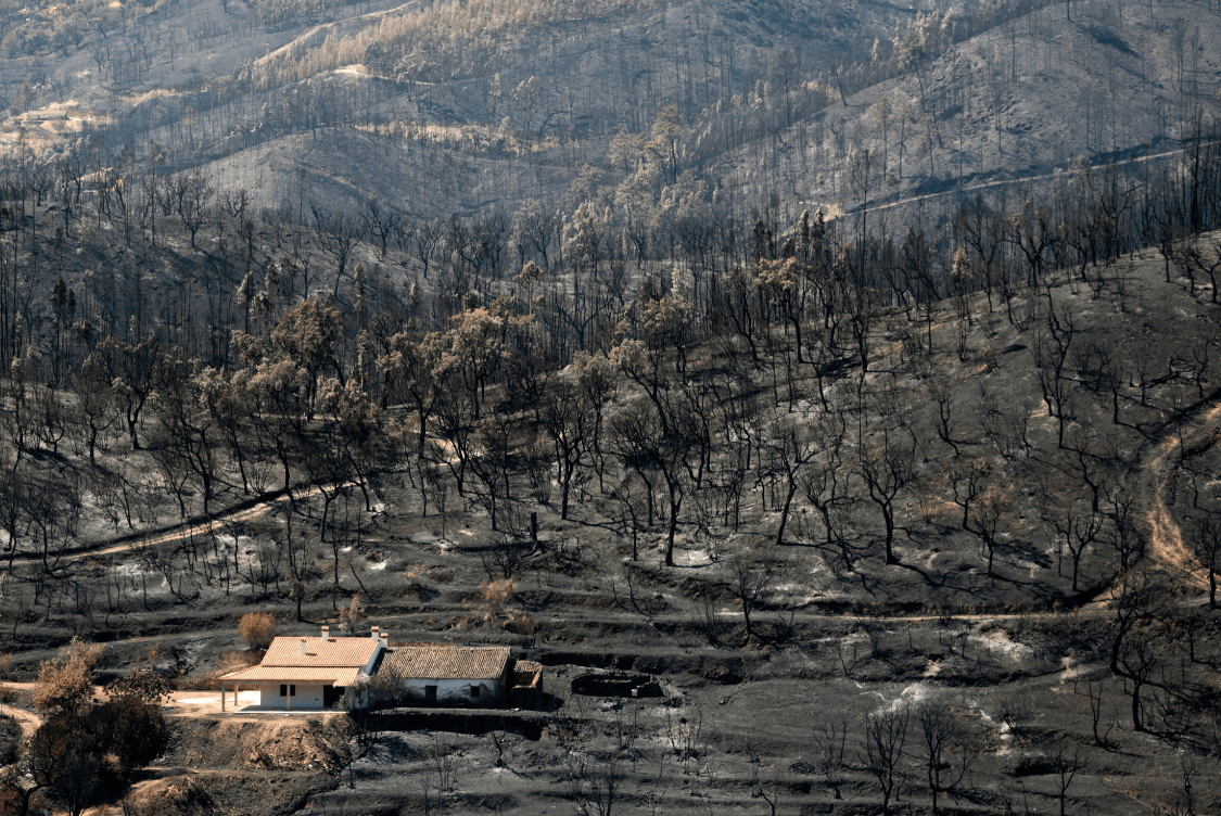 Incendio forestal en Portugal se estabiliza; sigue activo