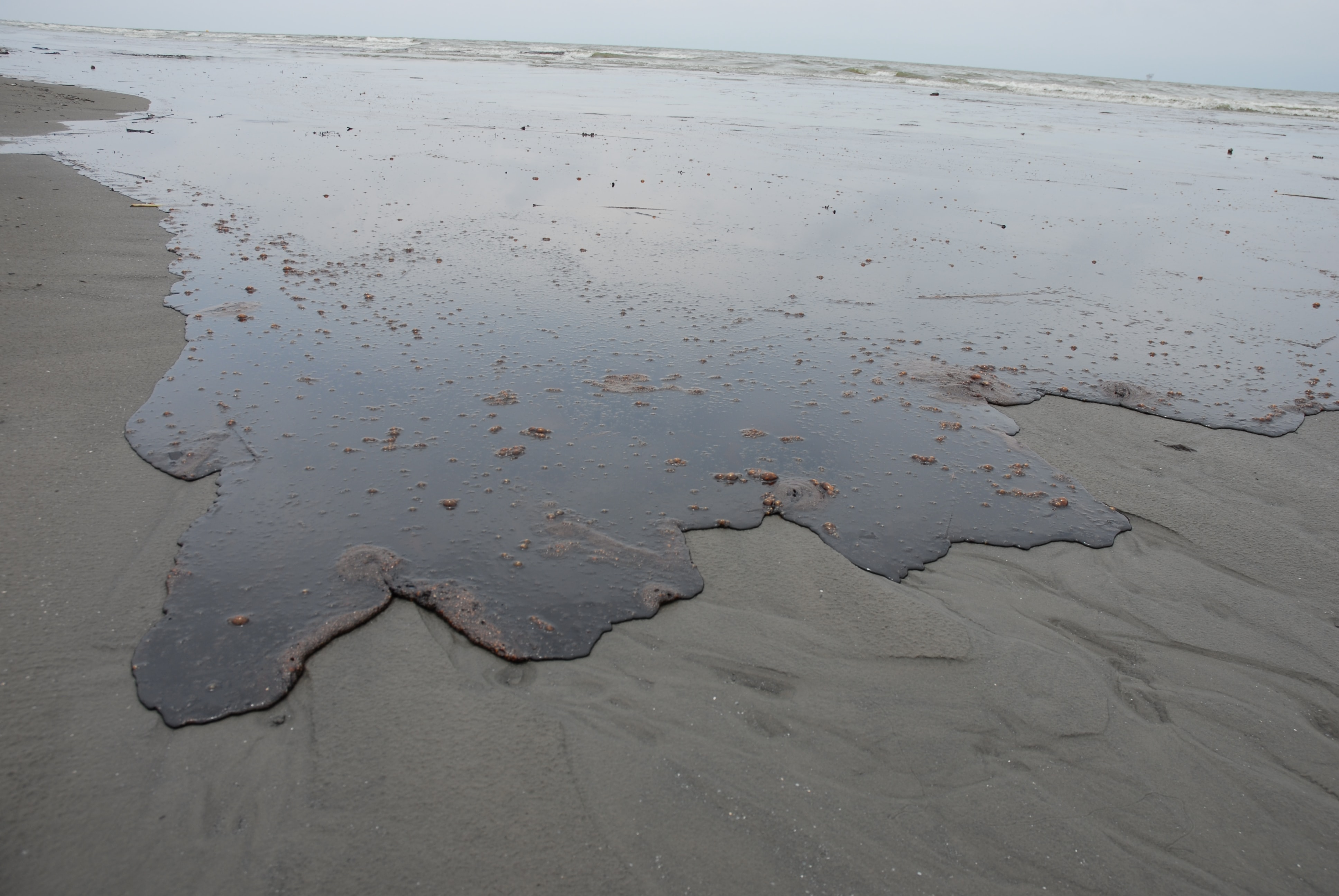 derrame-petroleo-zonas-costeras-mexicanas-en-grave-peligro-por-altos-niveles-de-contaminacion