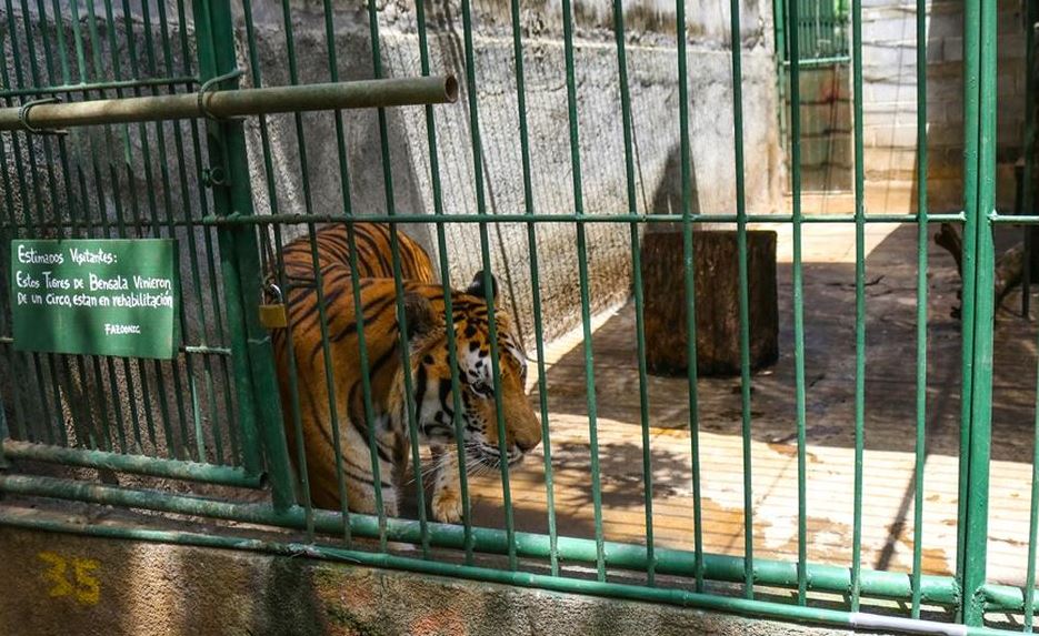 Crisis política afecta al principal zoológico de Nicaragua