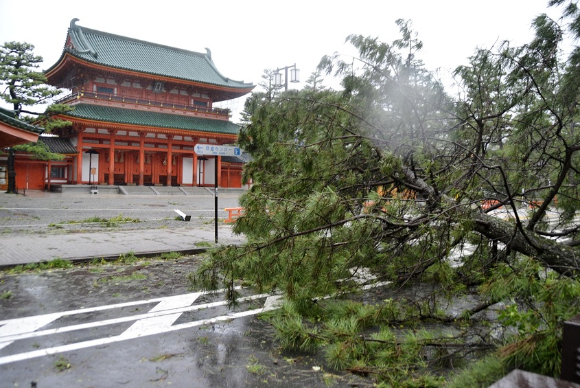 Tifón ‘Jebi’ causa al menos seis muertos en Japón