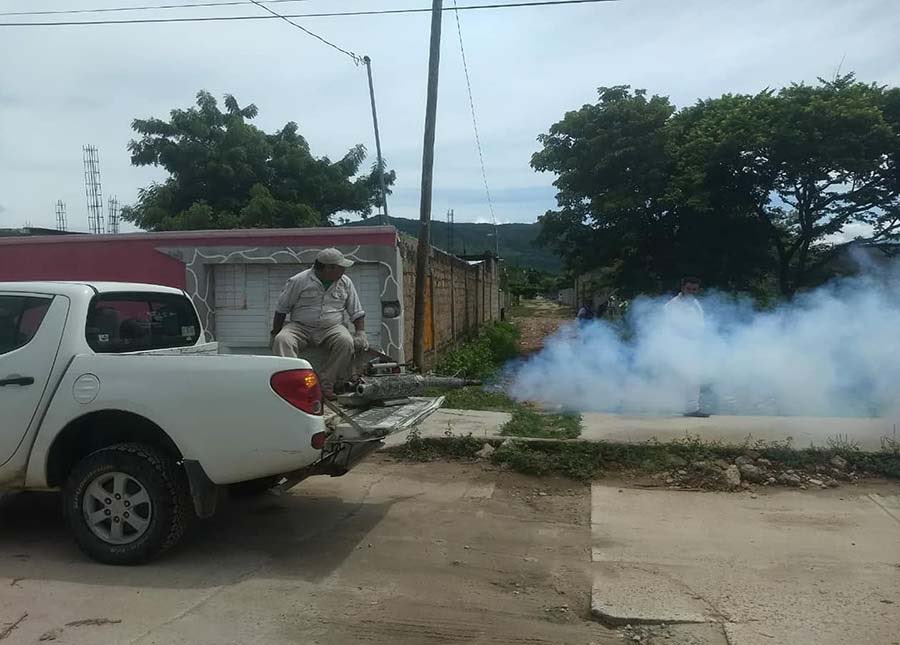 Aumento de casos de dengue causa alerta en Chiapas y Oaxaca