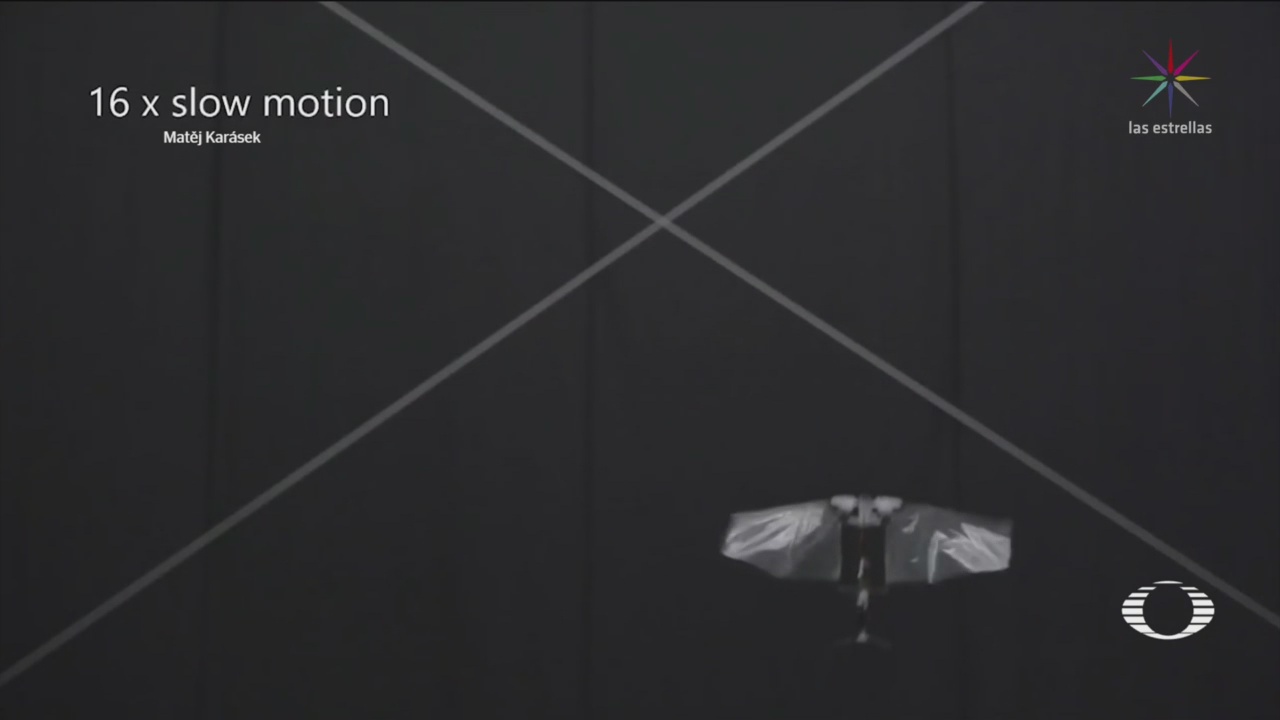 Crean Dron Imita Movimientos Moscas Fruta Tecnología