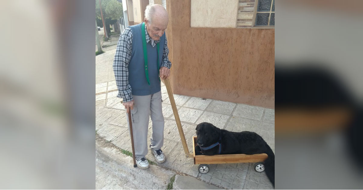 fabrica-carrito-perro-discapacitado-viral-redes-uruguay