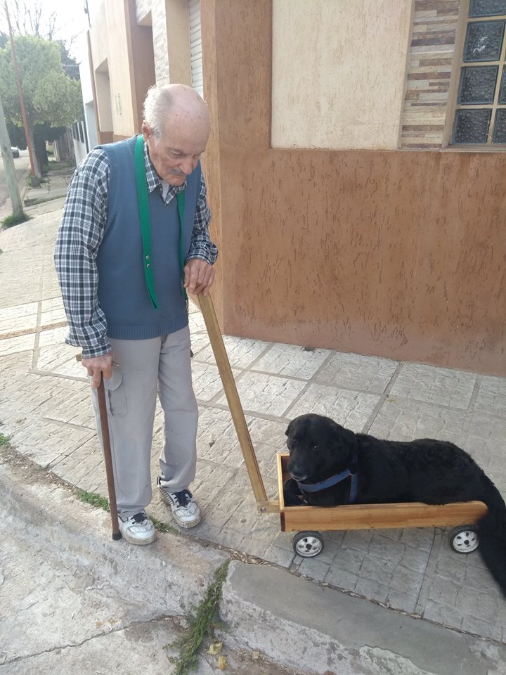fabrica-carrito-perro-discapacitado-viral-redes-uruguay