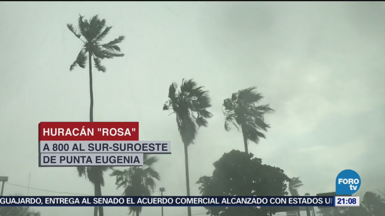 Huracán Rosa Mantiene Alerta Península Baja California