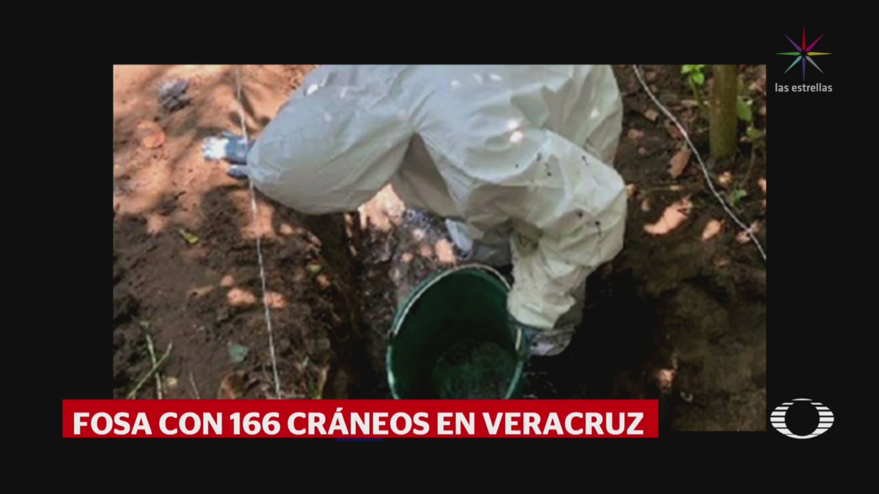 Localizan en Veracruz fosa clandestina con 166 cráneos