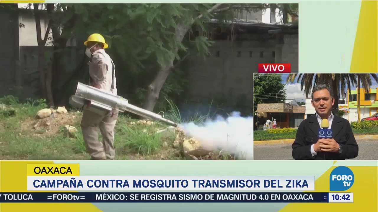 Oaxaca realiza campaña contra mosquito transmisor del zika