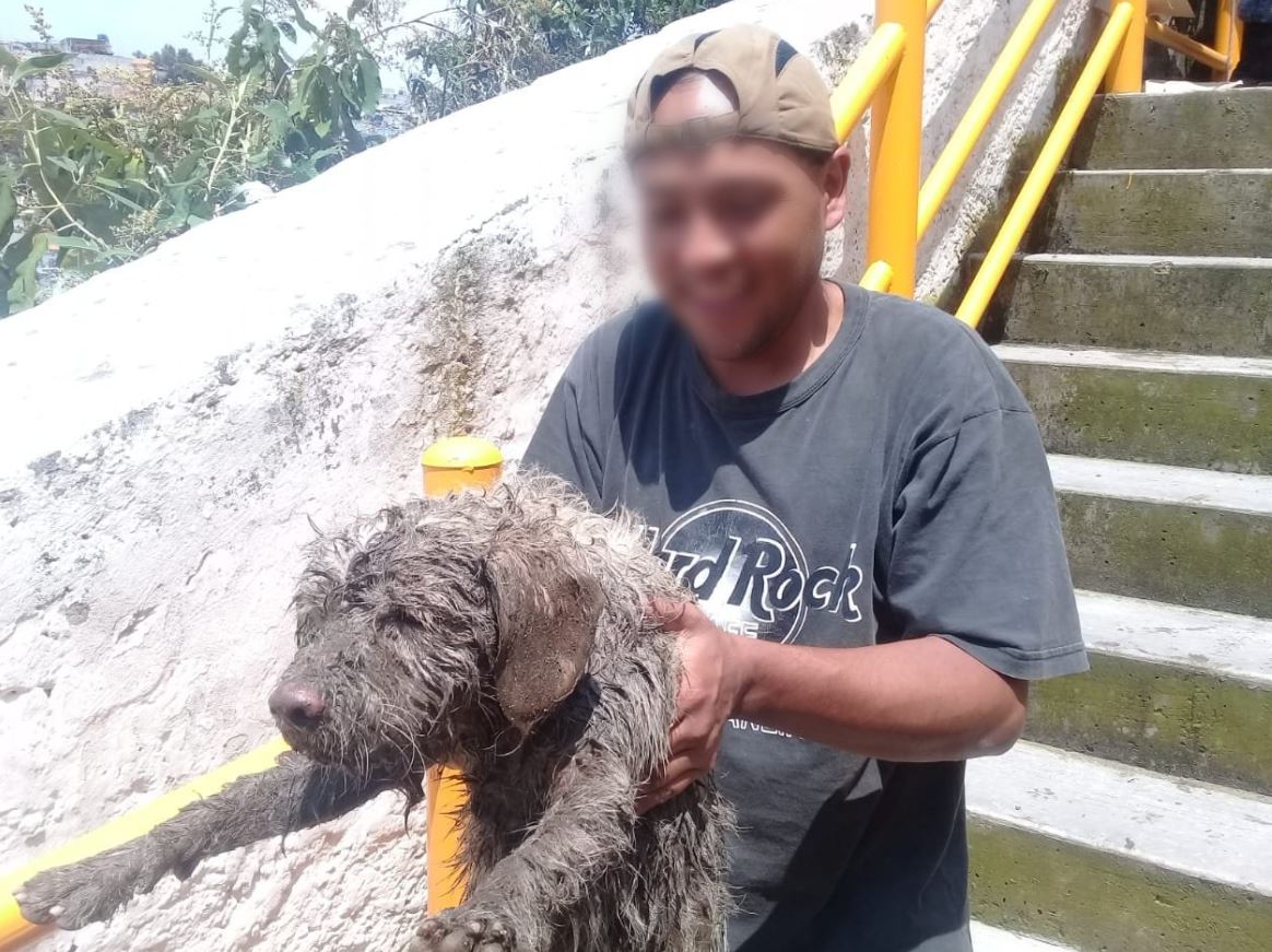Rescatan a perro atrapado en barranca de la CDMX