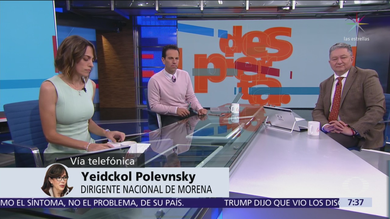 Polevnsky pide no actuar en política, como si fuera futbol