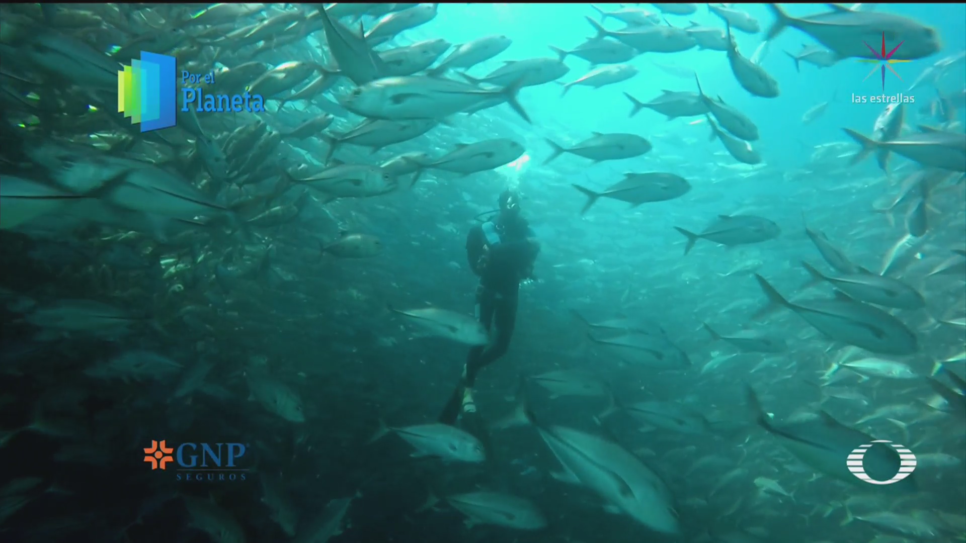 Por el Planeta Explotación de sardina en el Mar de Cortés