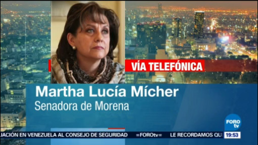 Promueven Reformas De Salud A Favor De La Comunidad Lgbttti Senadores Martha Lucía Mícher