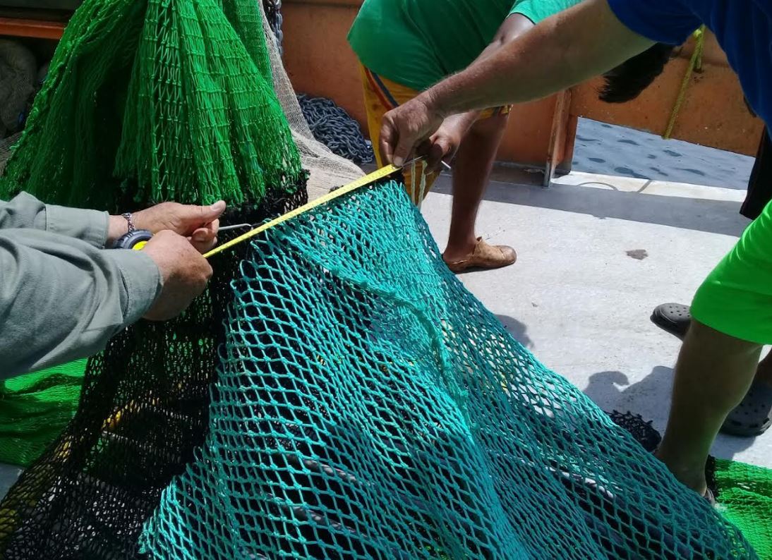 Profepa certifica 30 embarcaciones camaroneras en Oaxaca