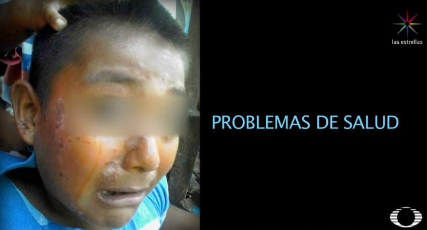 Tabasco declara emergencia por muerte de manatíes y enfermedades 