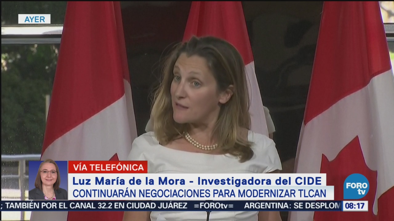 Continuarán Negociaciones Modernizar Tlcan Luz María De La Mora, Investigadora Del Cide