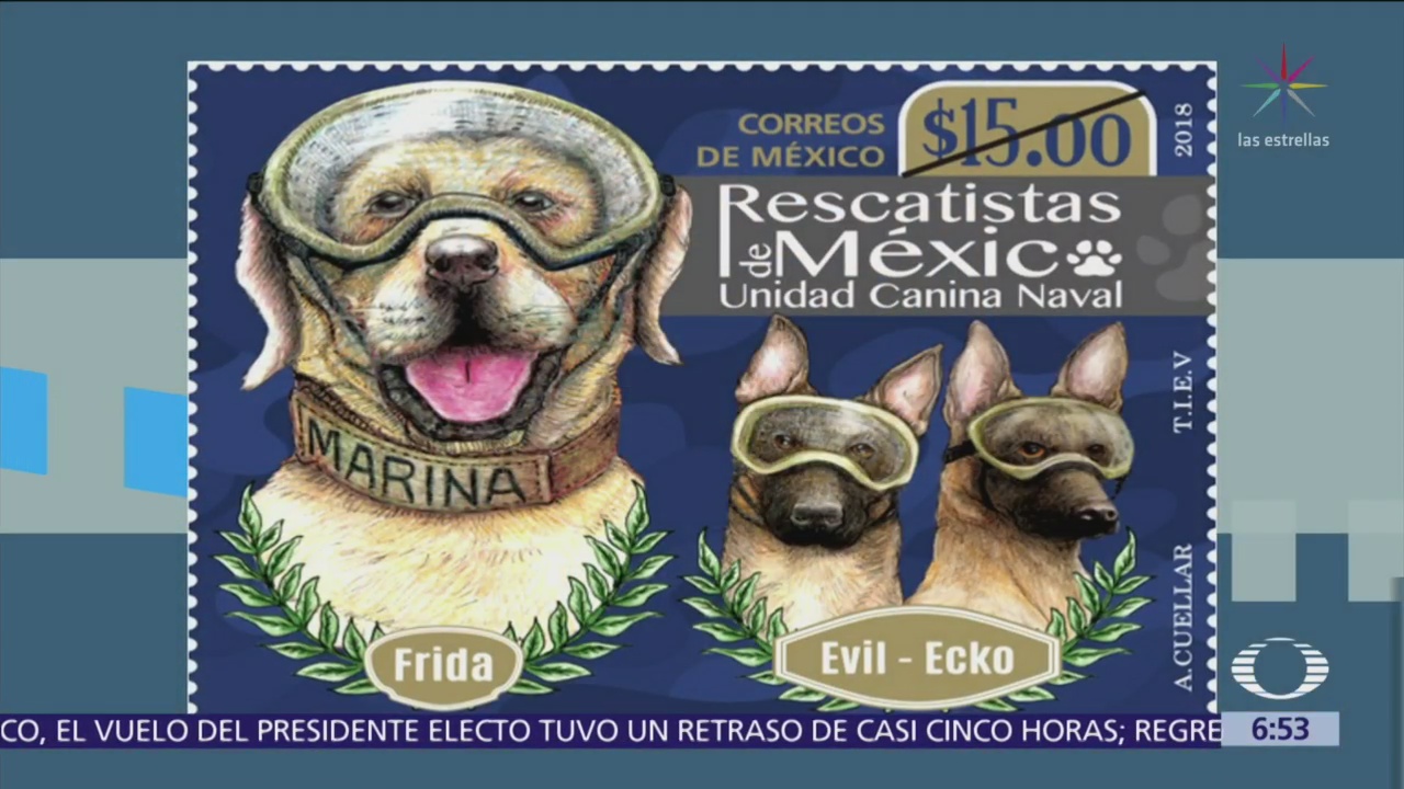 Servicio Postal Mexicano dedica estampilla a binomios canino