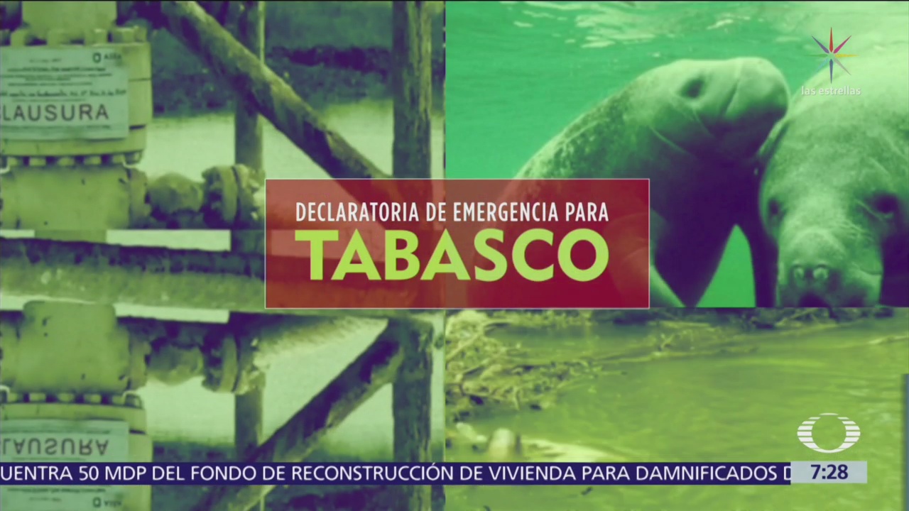 Sigue emergencia en Tabasco por muerte de manatíes