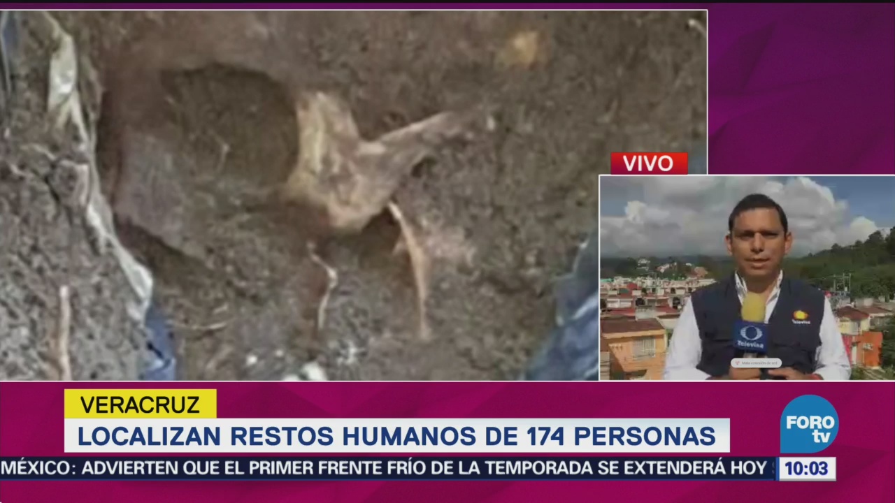 Suman 178 Cráneos Localizados Fosas Clandestinas Veracruz
