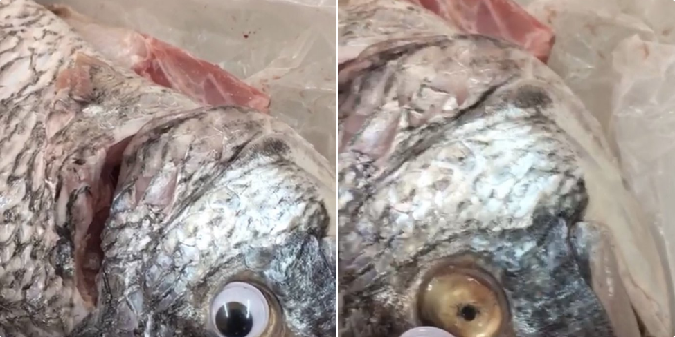 Vendían Pescado Ojos Falsos Para Ocultar Mal Estado, Pescado Con Ojos Falsos, Pescado Con Ojos De Plastico, Pescadería Kuwait, Kuwait, Pescado