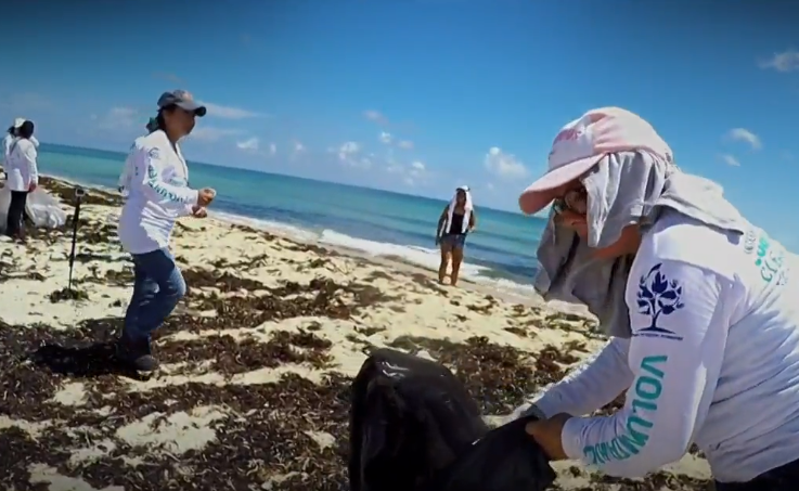 Voluntarios apoyan Día Internacional de Limpieza de Playas