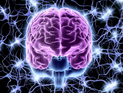 ¿Sabías que el cerebro te recompensa por comer?