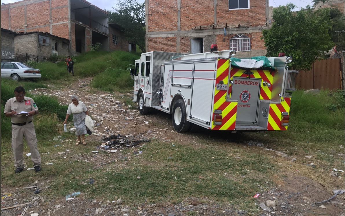 Ataque de abejas en Zapopan, Jalisco, deja 10 lesionados