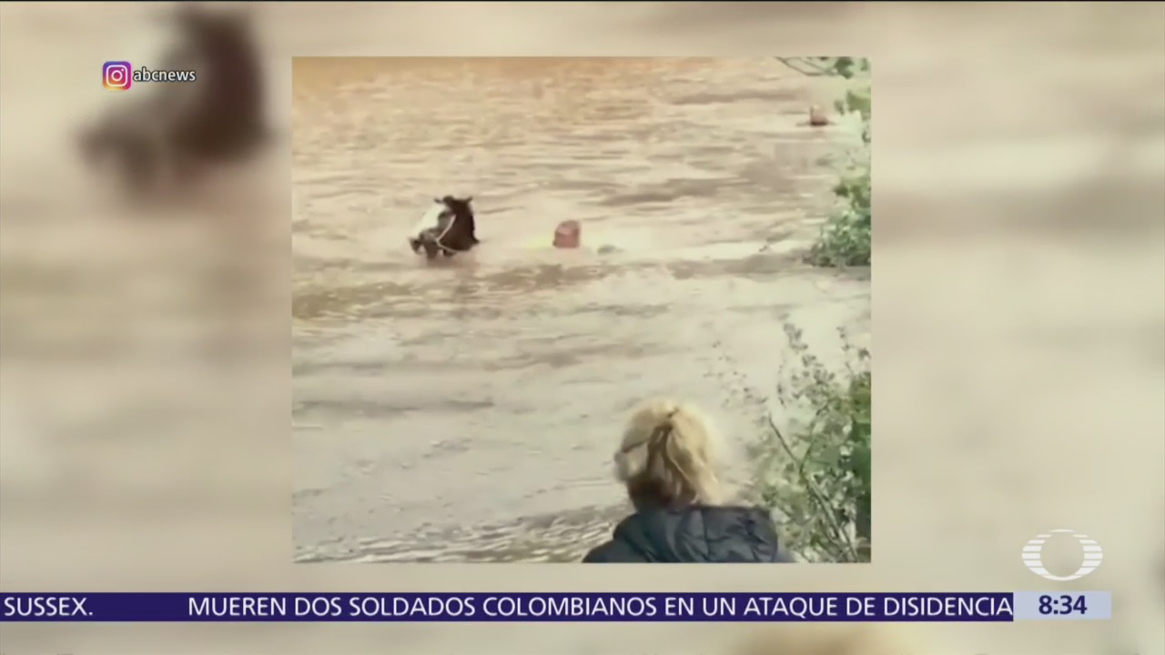 Hombre salta a un campo inundado para rescatar a caballo