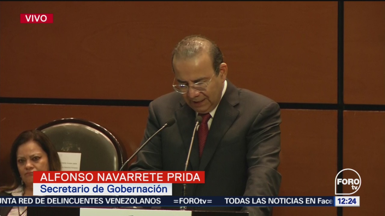 Alfonso Navarrete Prida comparece ante diputados