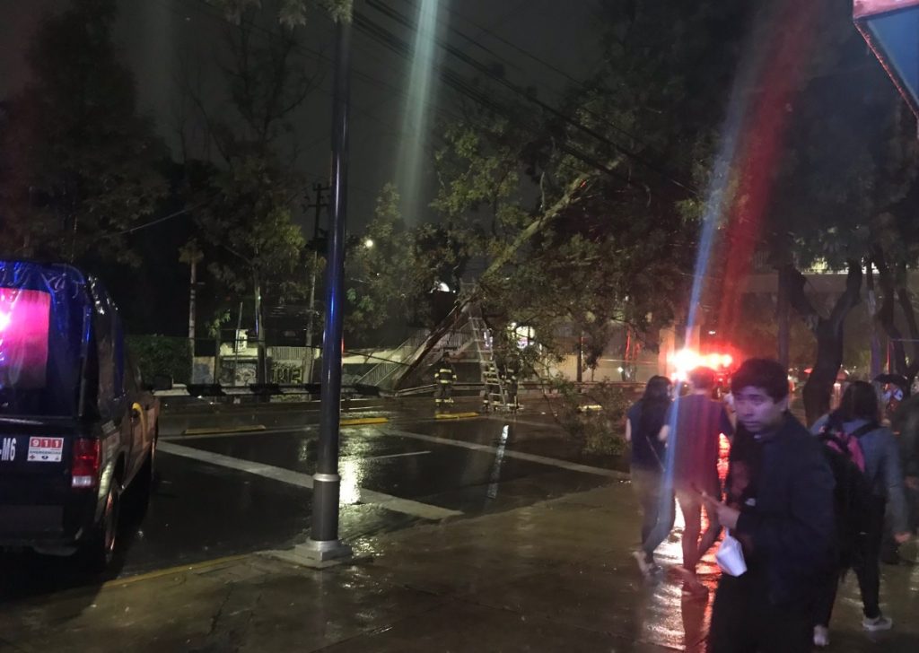 Lluvias en la CDMX dejan anegaciones y árboles caídos; autoridades atienden emergencia