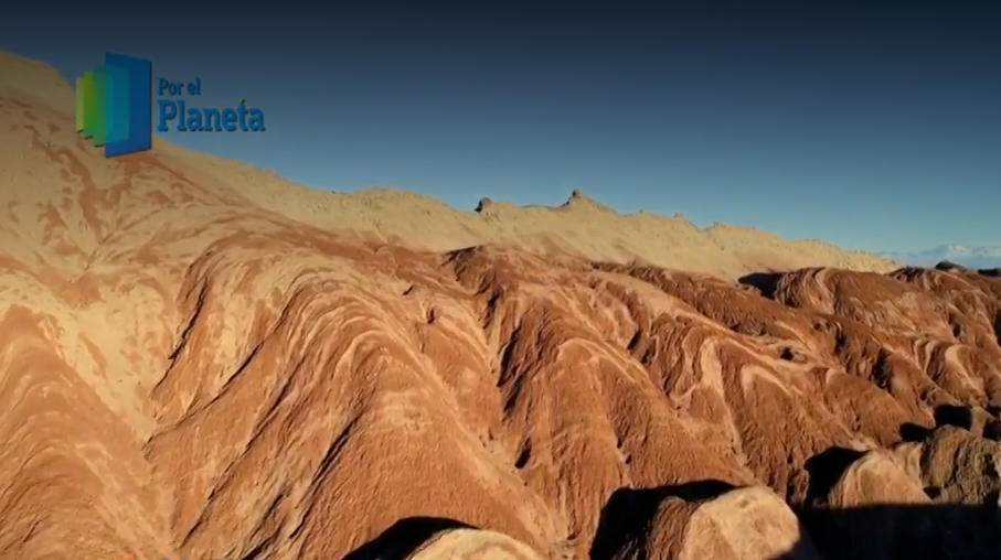 Atacama, tierra de dumas indomables. (Noticieros Televisa)