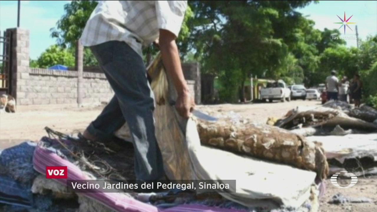Autoridades Sinaloa Entregan Colchones Hongos Damnificados Inundaciones