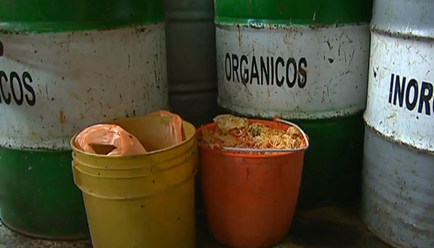 En México, cada año se desperdician 20 millones de toneladas de alimentos