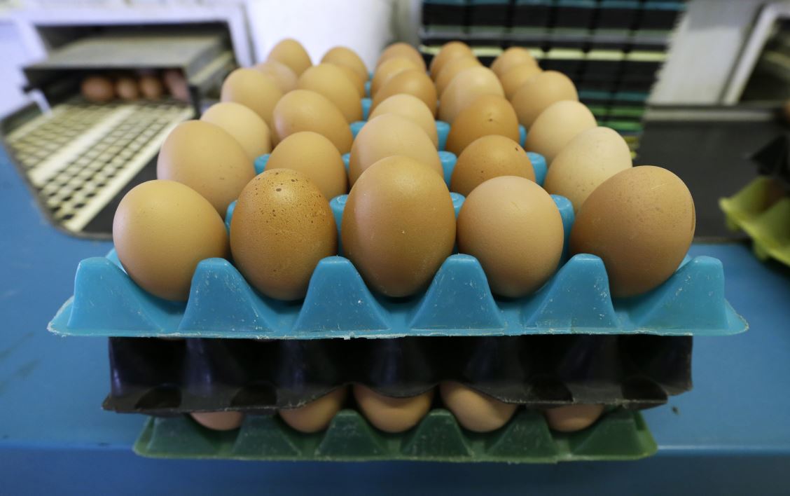Canadá importará más leche, huevos y pollo de EU tras acuerdo comercial