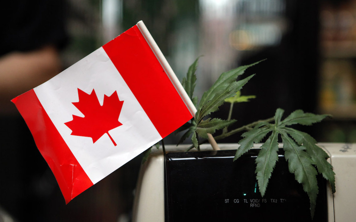 Canadá compartirá experiencia de uso de marihuana con México
