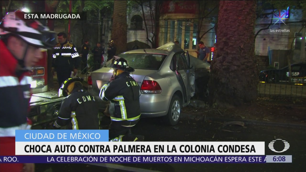 Choca auto contra palmera en la colonia Condesa