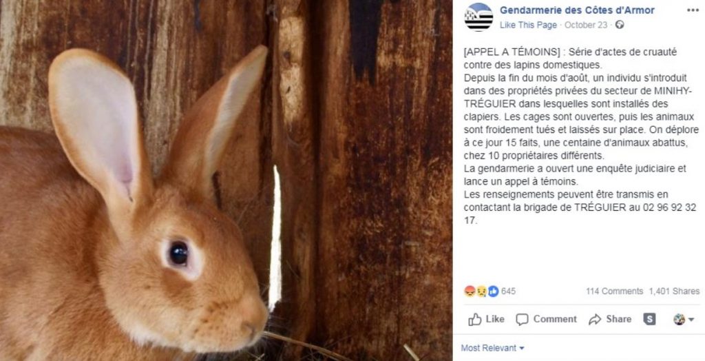 Asesino en serie de conejos aterroriza a la Bretaña francesa