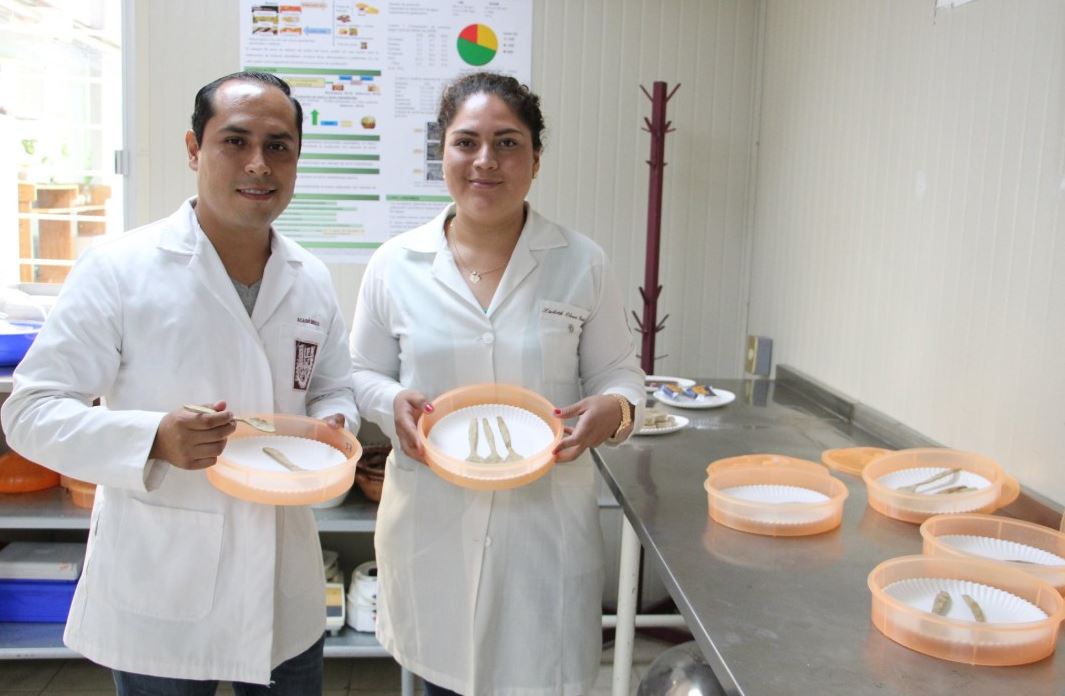 Estudiantes del IPN crean los primeros cubiertos comestibles