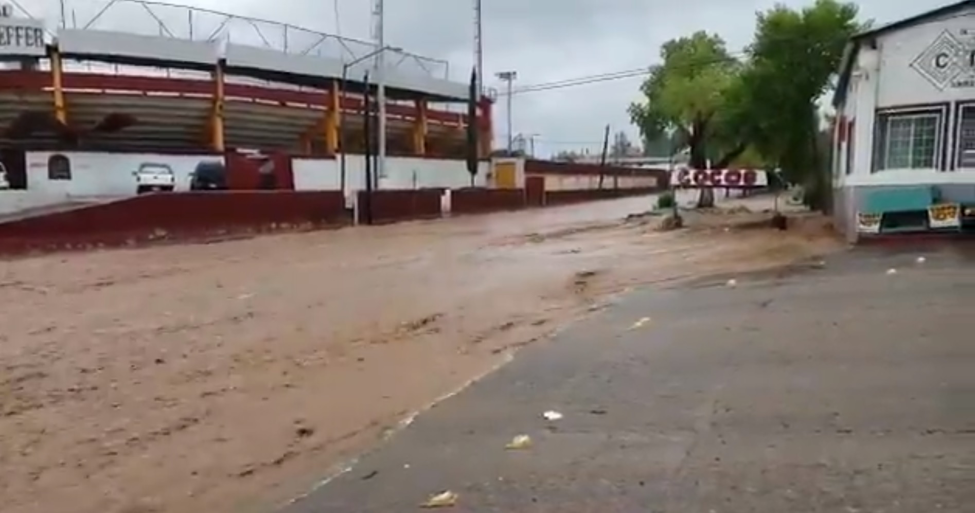 Declaran emergencia en Nogales, Sonora, por lluvia provocada por ‘Willa’