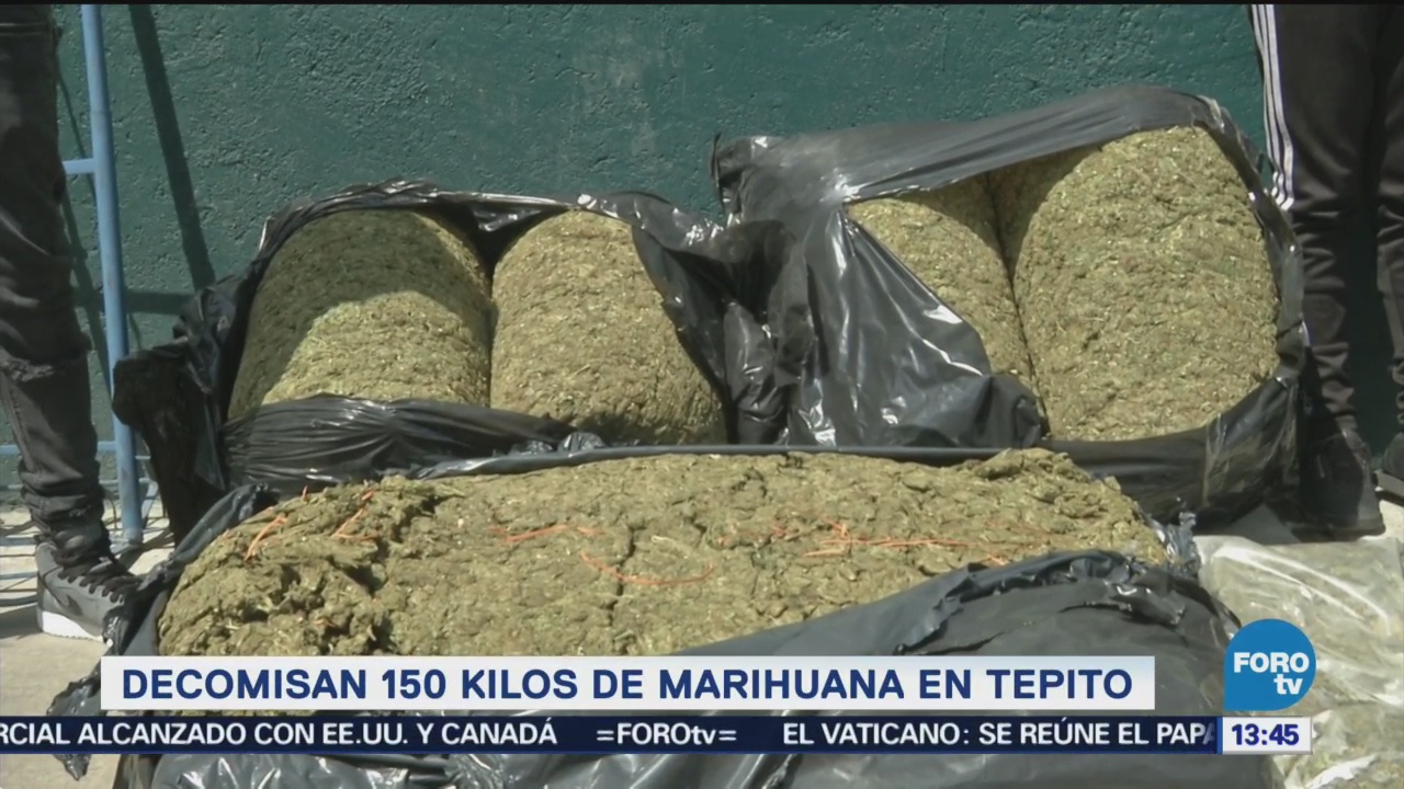 Decomisan 150 Kilos Marihuana Tepito Barrio De Tepito Unidad Habitacional
