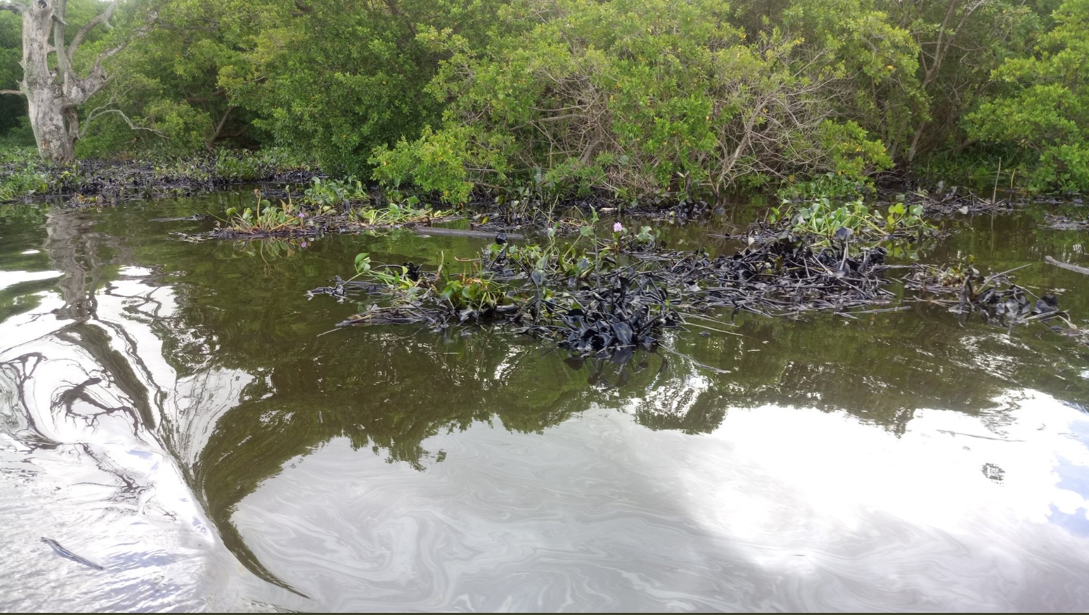Derrame de petróleo contamina el río Coatzacoalcos