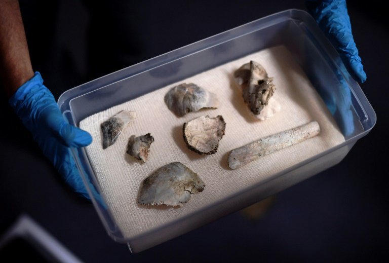 Recuperan cráneo de Luzia entre escombros del Museo Nacional de Brasil