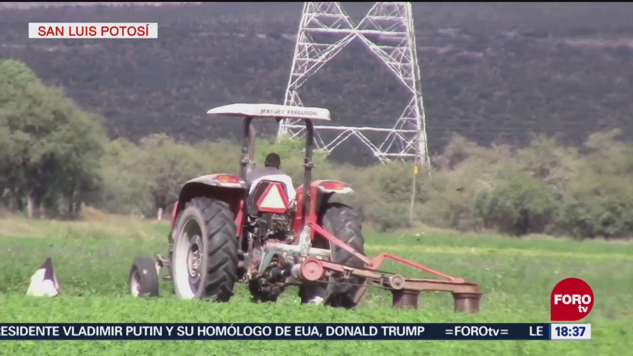 Impulsan cultivos en San Luis Potosí, apoyados en la tecnología