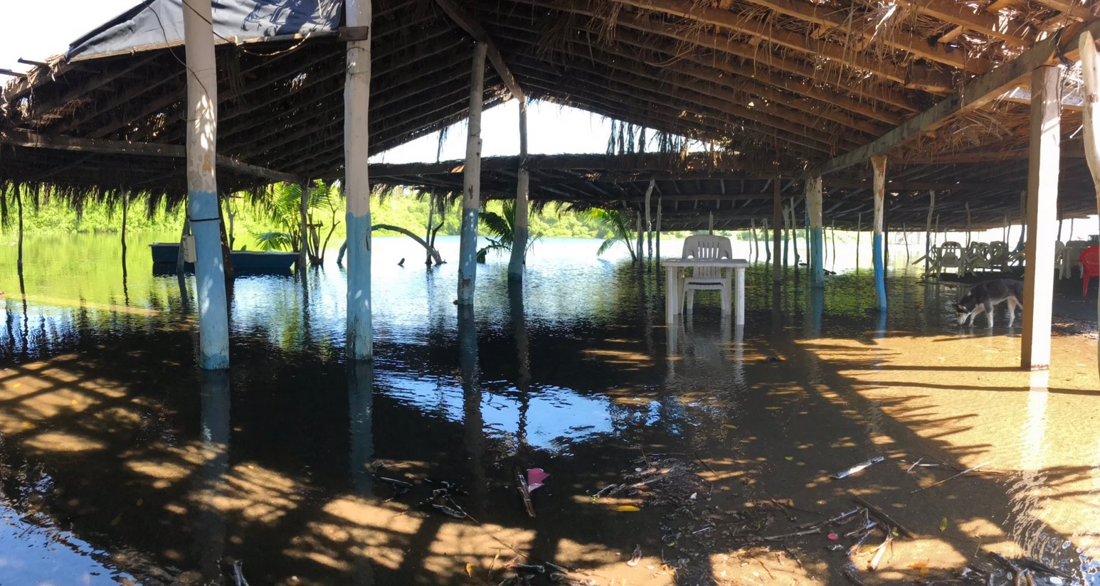 Fuerte oleaje daña restaurantes en playas de Tecomán, Colima
