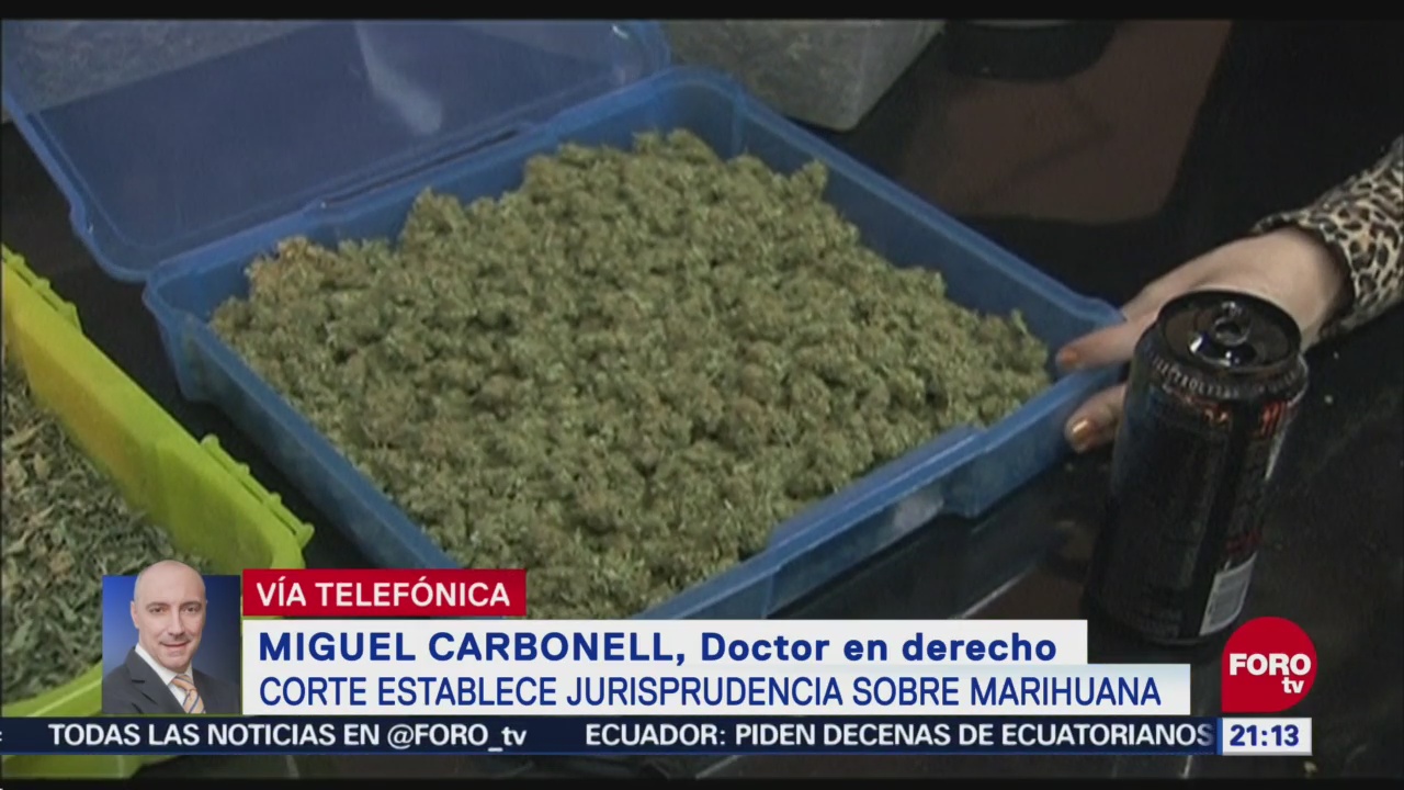 Jurisprudencia Sobre Marihuana Abre Puerta Legalización Miguel Carbonell