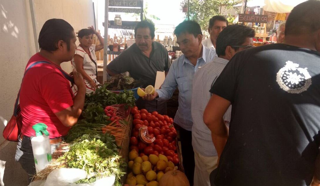 La Cosecha, el mercado orgánico de Oaxaca